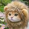 Cute Lion's Mane winter hat for cats