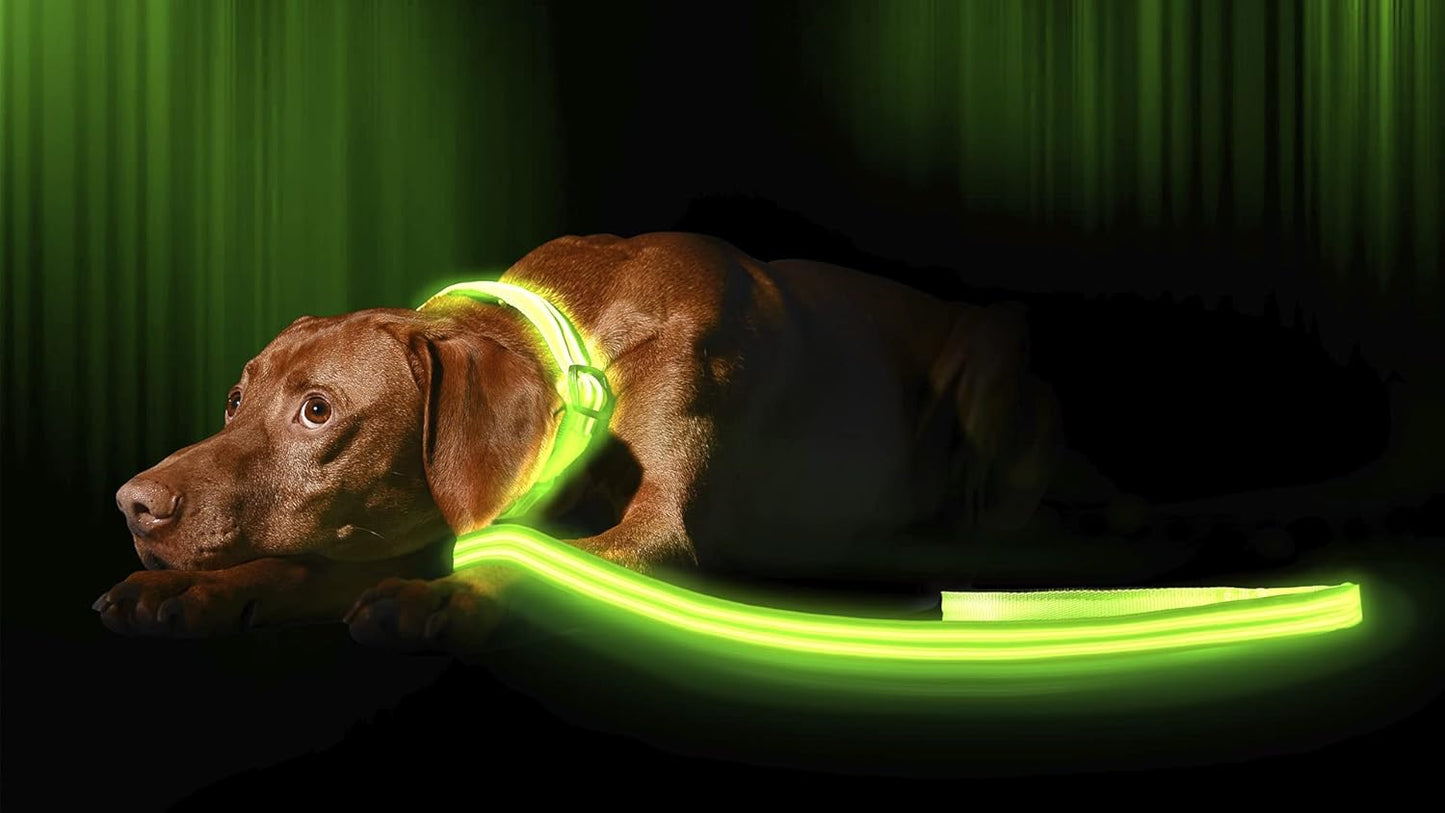 LED Light up Dog Leash | Ultra High Visibility up to 350 Yards | 3 Lighting Modes | USB Rechargeable, No Batteries Needed | Padded Handle & Rotating Swivel Clasp to Prevent Leash Tangling