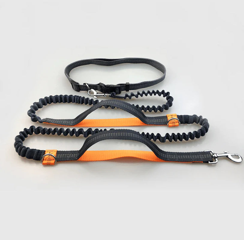 Ultimate Hands-Free Reflective Dog Leash with Multi-Function Features