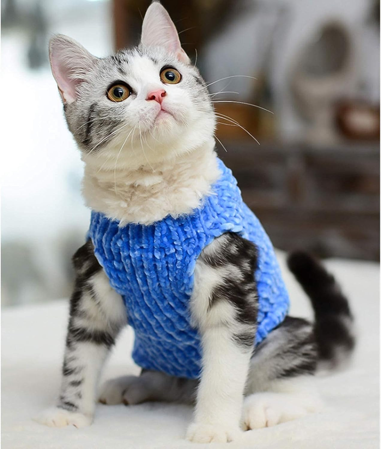 Sphynx Cat Clothes Winter Warm Faux Fur Sweater Outfit, Fashion High Collar Coat for Cats Pajamas for Cats and Small Dogs Apparel, Hairless Cat Shirts Sweaters (S (3.3-4.4 Lbs), Sky Blue)