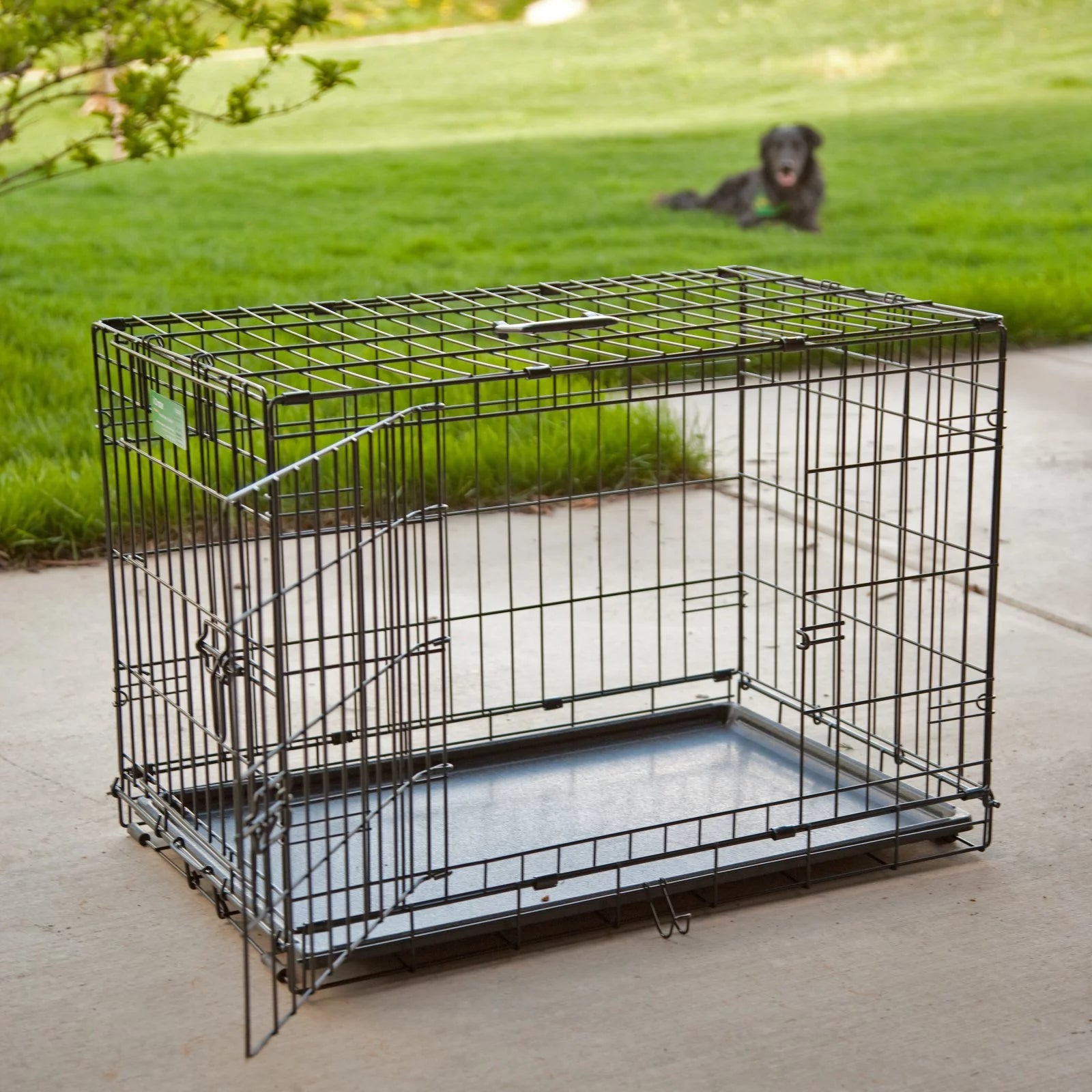 Newly Enhanced Double Door Icrate Dog Crate, Includes Leak-Proof Pan, Floor Protecting Feet, Divider Panel & New Patented Features, Measures 36.6L X 21.9W X 24.5H Inches, Black