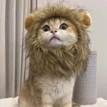 Cute Lion's Mane winter hat for cats