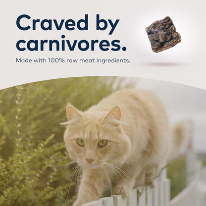 Peak Air-Dried Cat Food – Beef - All Natural, High Protein, Grain Free, Limited Ingredient W/ Superfoods (14Oz)