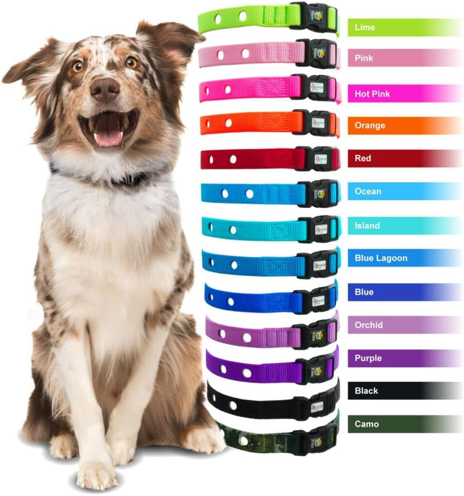 Dog Collar Replacement Strap - Bright Orange - Compatible with Nearly All Brands and Models of Underground Dog Fences