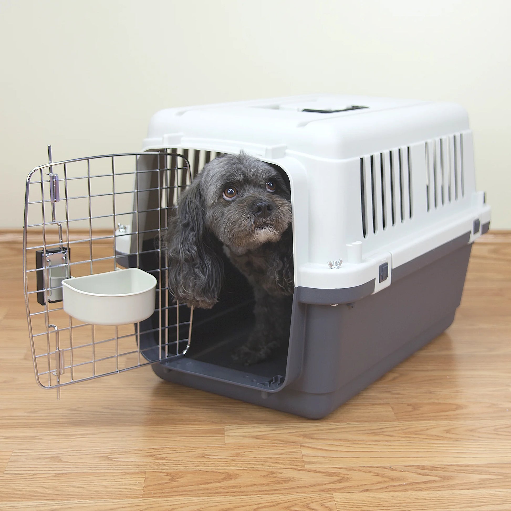 Plastic Dog IATA Airline Approved Kennel Carrier, Small, 1 Piece