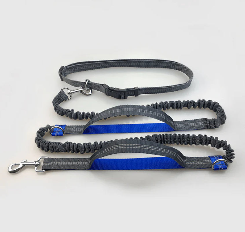 Ultimate Hands-Free Reflective Dog Leash with Multi-Function Features