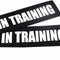 2 Pack Reflective Service Dog Patches with Hook Back for Pet Collar Vest Harness - 3 Sizes
