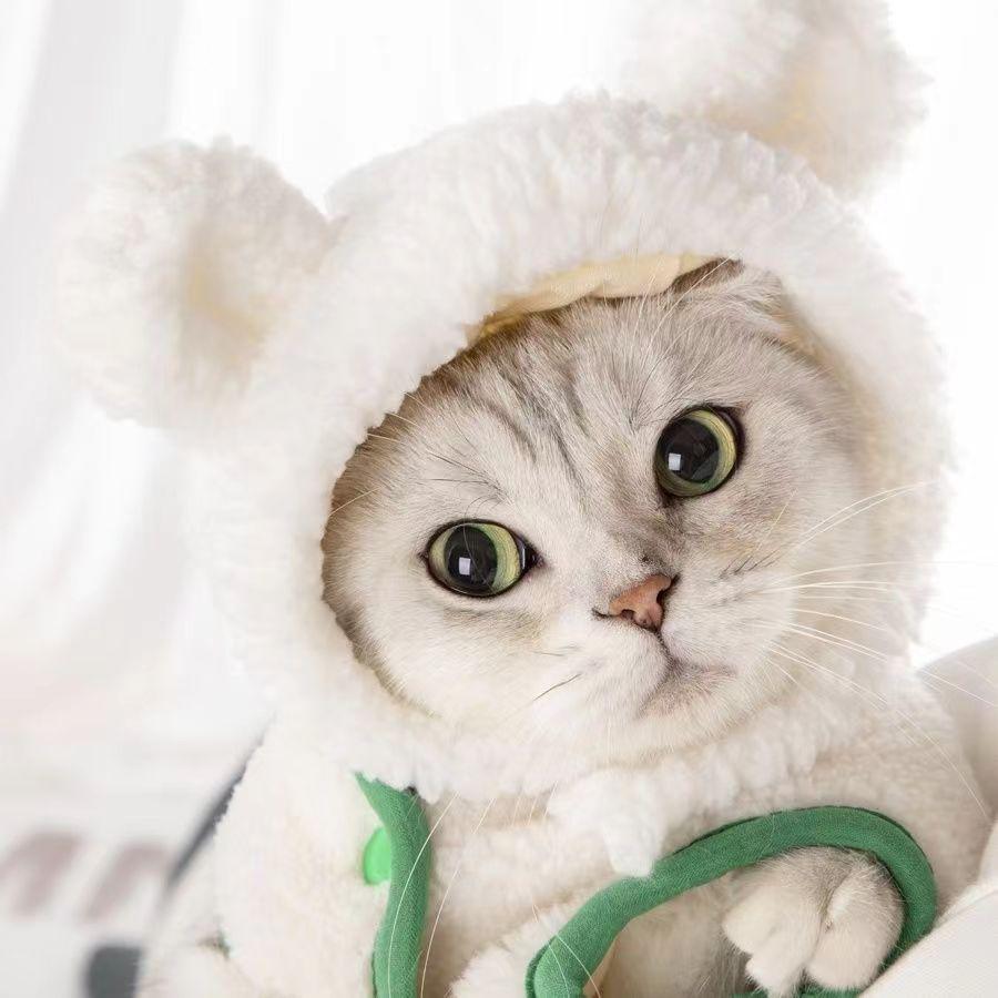 Cute Bear Rabbit Kitty Hat - Fits Cats and Small Dogs