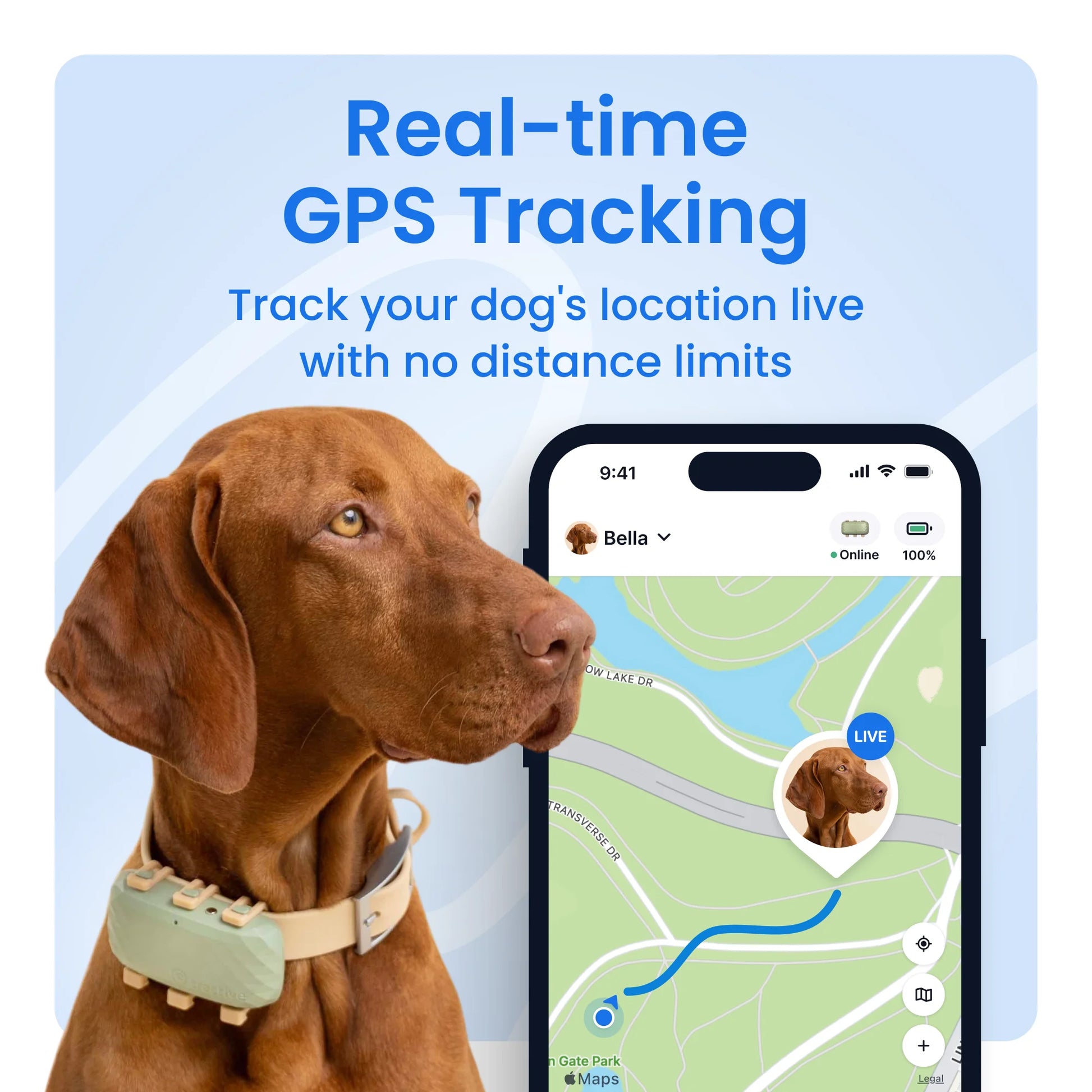 XL Smart Dog GPS Tracker with Vital Signs Monitoring (Green)